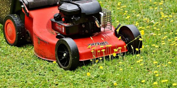 Red Lawn Mower