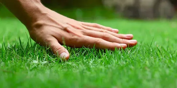 Hand touching grass