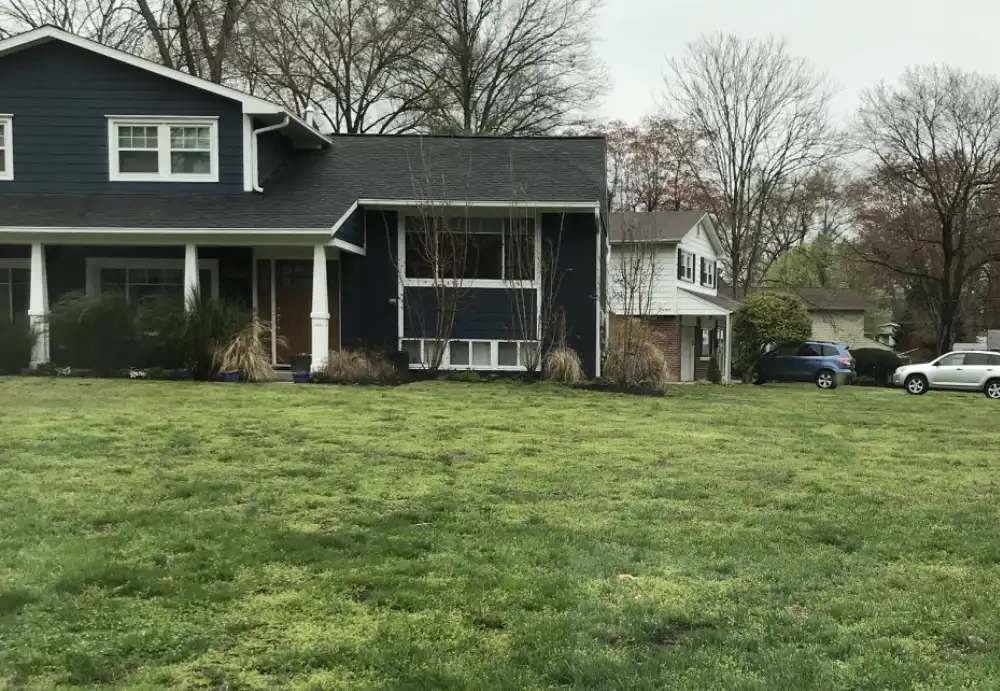 lawn before