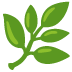 a leaf