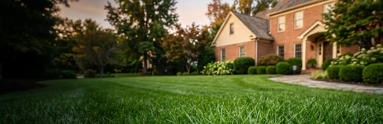 bermuda grass infront of home